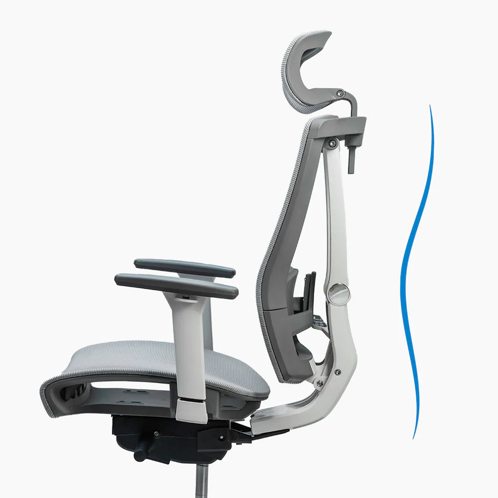 Enhanced Lumbar Support