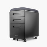 Tandem Mobile Steel Storage Drawer