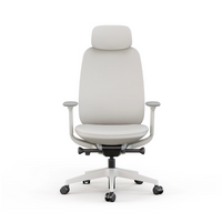 Modern white ergo office chair designed for all-day comfort at your desk