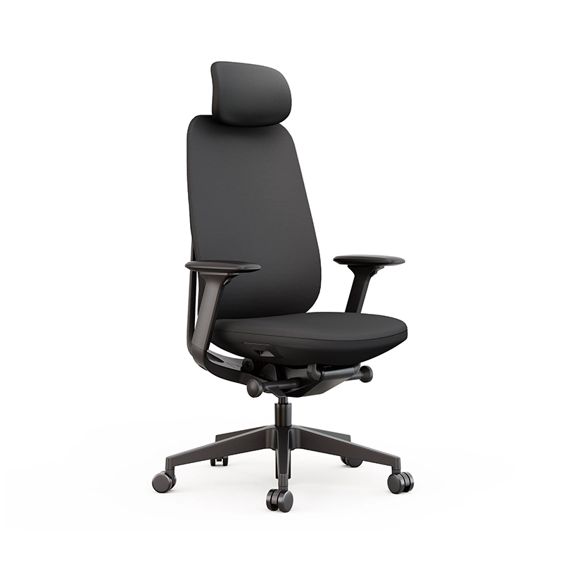 Ergonomic office chair in black with adjustable lumbar support and armrests