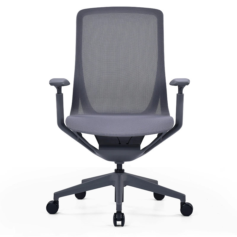Kaze Mesh Ergonomic Chair