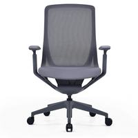 Kaze Mesh Ergonomic Chair