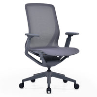 Kaze Mesh Ergonomic Chair