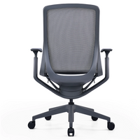 Kaze Mesh Ergonomic Chair