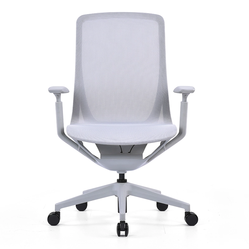 Kaze Mesh Ergonomic Chair