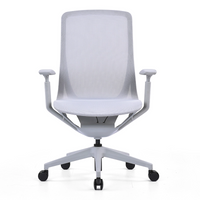 Kaze Mesh Ergonomic Chair
