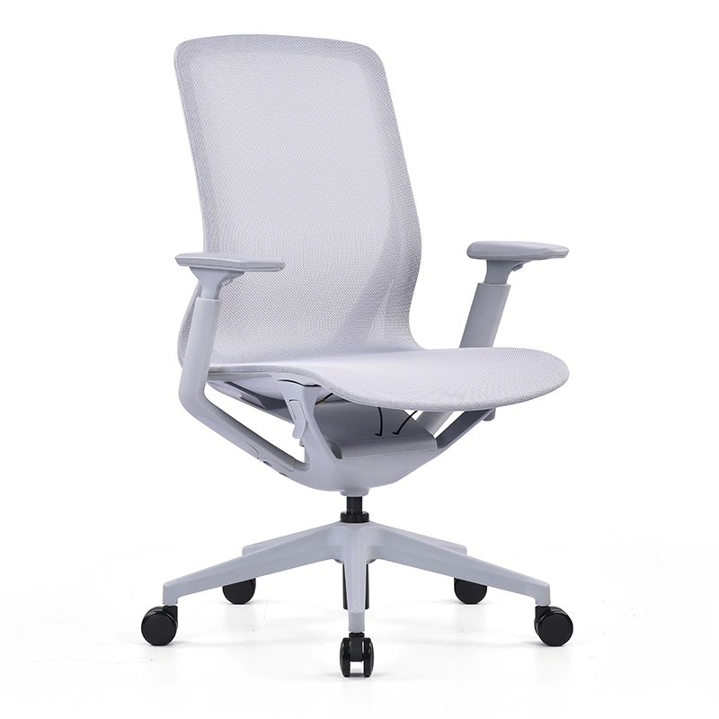 Kaze Mesh Ergonomic Chair