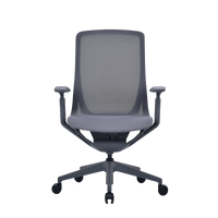 Kaze Mesh Ergonomic Chair
