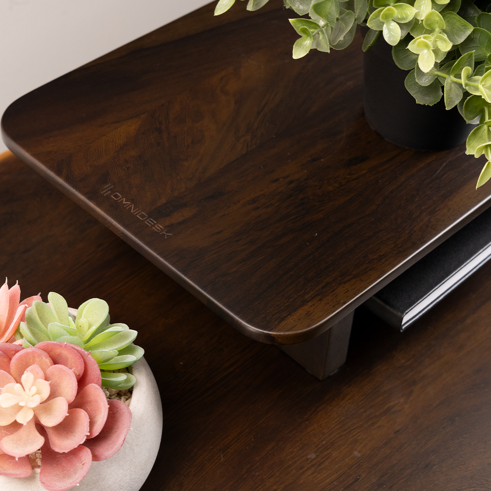 Pheasantwood Dark sit-stand desk tabletop with Arka Desk Riser for office ergonomics real wood
