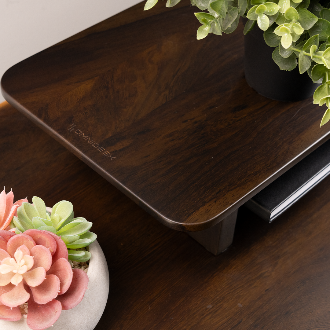 Pheasantwood Dark sit-stand desk tabletop with Arka Desk Riser for office ergonomics real wood