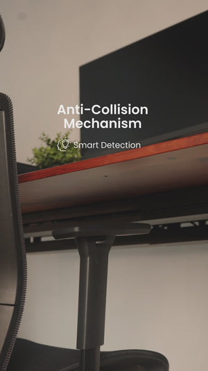 Anti-Collision Mechanism — re-encoded for the product detail strip